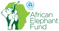 Aef logo